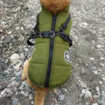 Waterproof Furry Jacket for Dogs of All Sizes - Image 7