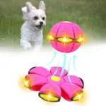 Pet Toy Flying Saucer Ball - Image 9